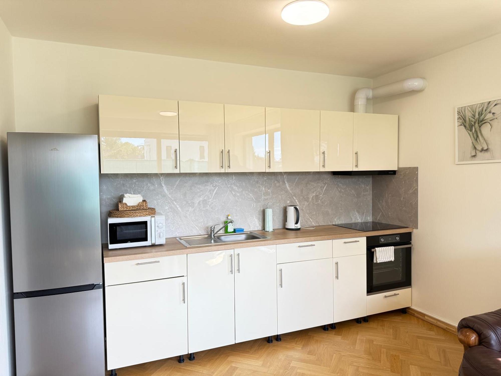 Familyvilla, New 4 Luxury Big Apartments, Parking Praag